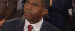 thats_a_penis_reverse-300x125.gif