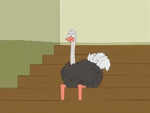 hahahhh_ostrich.gif