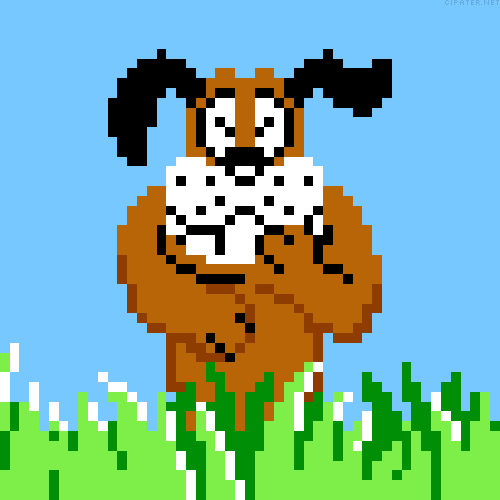 laughing dog duck hunt