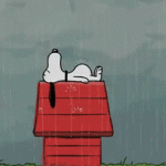 Snoopy In The Rain