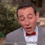 I know you are but what am I? (Pee-Wee Herman)