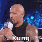 Kung Pow Bitch (The Rock)