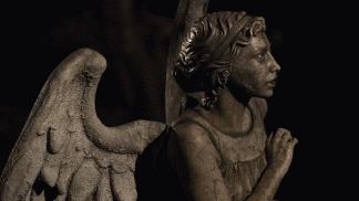 Weeping Angel Looking Your Way (Doctor Who)