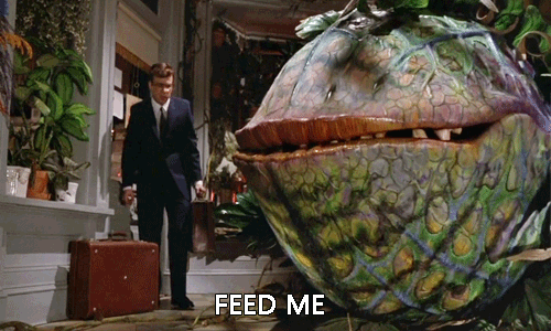 Feed Me (Little Shop of Horrors)