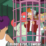 I’m not a rat, I swear. (Futurama)
