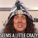 Seems A Little Crazy! (Weird Al)