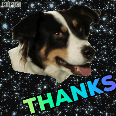 Featured image of post View 11 Dog Saying Thank You Gif